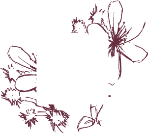 Pure Essence Salon Spa